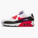 Click To Order Nike Air Max 90 Raptors 285 106 Men/Women Shoes In Ireland