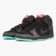 Click To Buy Nike Dunk SB High Premier Northern Lights 313171 063 Men/Women Shoes In Ireland