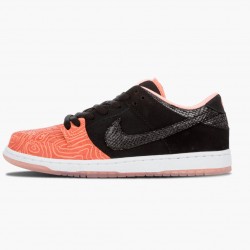 Nike Dunk SB Low Premier Fish Ladder 313170 603 Men/Women Shoes In Ireland