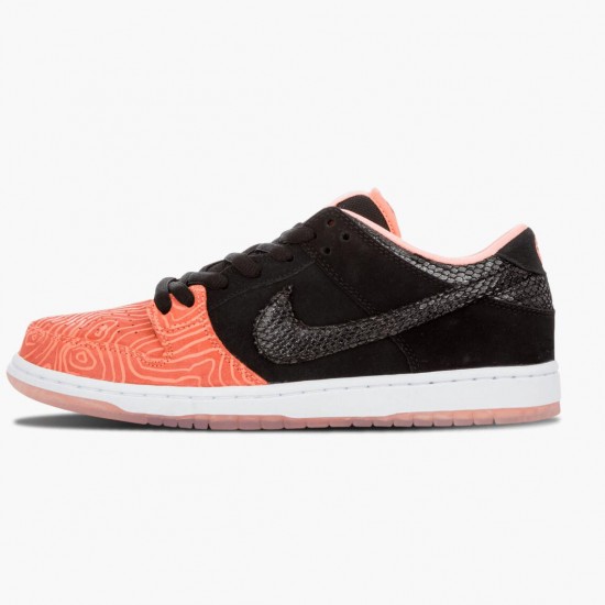 Order To Buy Nike Dunk SB Low Premier Fish Ladder 313170 603 Men/Women Shoes In Ireland