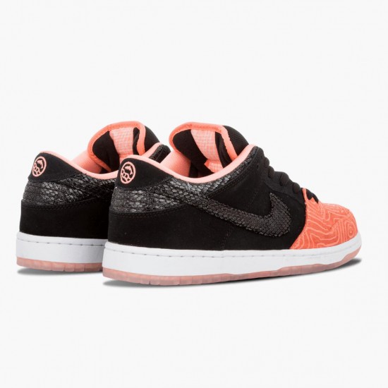 Order To Buy Nike Dunk SB Low Premier Fish Ladder 313170 603 Men/Women Shoes In Ireland