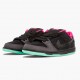 Choose To Buy Nike Dunk SB Low Premier Northern Lights 724183 063 Men/Women Shoes In Ireland