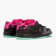 Choose To Buy Nike Dunk SB Low Premier Northern Lights 724183 063 Men/Women Shoes In Ireland