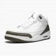 Choose To Buy Nike Air Jordan 3 Retro Mocha Men/Women 136064 122 White/Chrome/Dark Mocha Shoes In Ireland